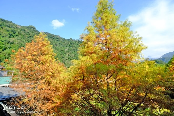 苗栗親子景點【雲水度假森林】落羽松約會好去處×水池花園、泡湯吃美食 - yuki.tw