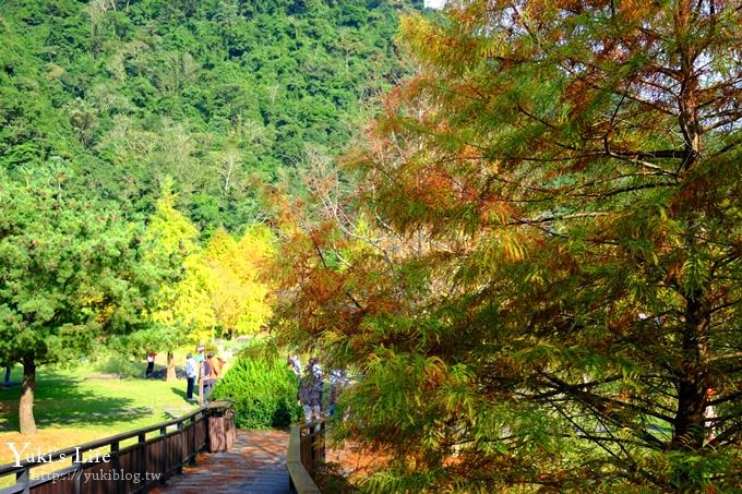 苗栗親子景點【雲水度假森林】落羽松約會好去處×水池花園、泡湯吃美食 - yuki.tw