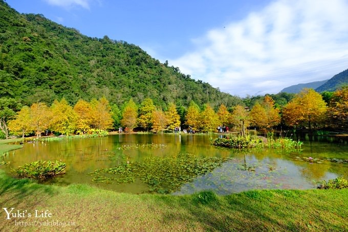 苗栗親子景點【雲水度假森林】落羽松約會好去處×水池花園、泡湯吃美食 - yuki.tw