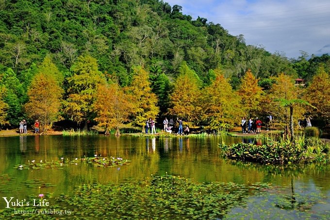 苗栗親子景點【雲水度假森林】落羽松約會好去處×水池花園、泡湯吃美食 - yuki.tw