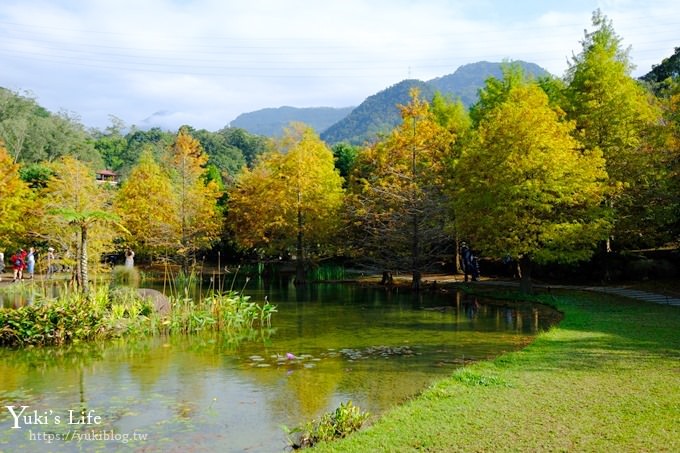 苗栗親子景點【雲水度假森林】落羽松約會好去處×水池花園、泡湯吃美食 - yuki.tw