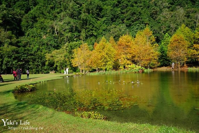 苗栗親子景點【雲水度假森林】落羽松約會好去處×水池花園、泡湯吃美食 - yuki.tw