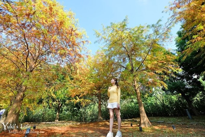 苗栗親子景點【雲水度假森林】落羽松約會好去處×水池花園、泡湯吃美食 - yuki.tw