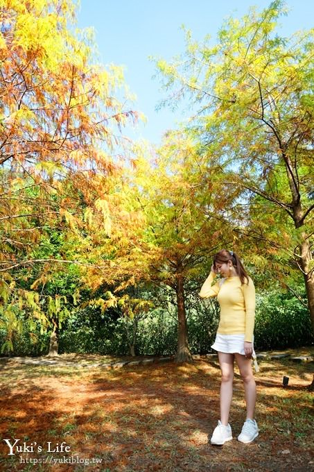 苗栗親子景點【雲水度假森林】落羽松約會好去處×水池花園、泡湯吃美食 - yuki.tw