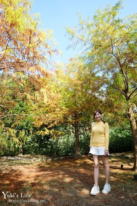 苗栗親子景點【雲水度假森林】落羽松約會好去處×水池花園、泡湯吃美食 - yuki.tw