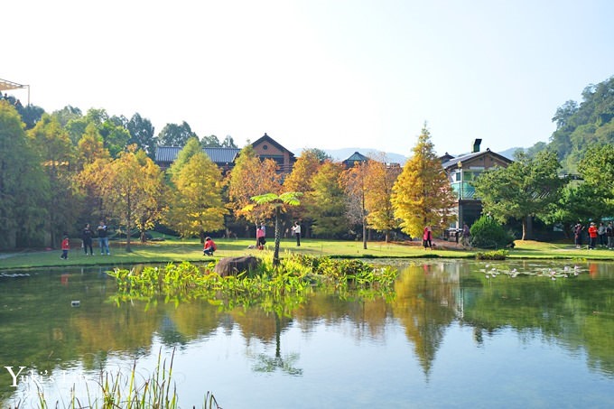 苗栗親子景點【雲水度假森林】落羽松約會好去處×水池花園、泡湯吃美食 - yuki.tw