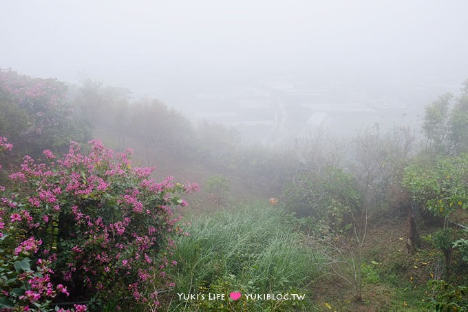 台南玉井【綠色空間】景觀餐廳超美，適合聚餐約會賞夕陽 - yuki.tw