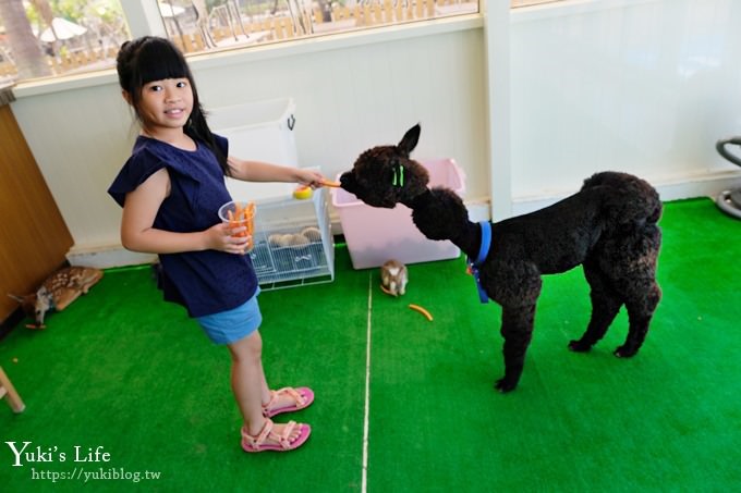 屏東景點【墾草趣生態園】梅花鹿園區新景點！親子室內餵草泥馬、小兔子 - yuki.tw