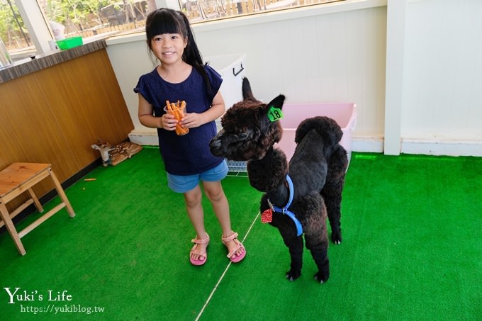 屏東景點【墾草趣生態園】梅花鹿園區新景點！親子室內餵草泥馬、小兔子 - yuki.tw