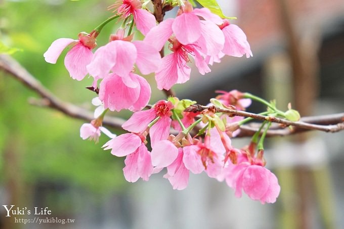 新北景點【烏來台車】烏來老街×烏來瀑布輕鬆親子半日遊 - yuki.tw