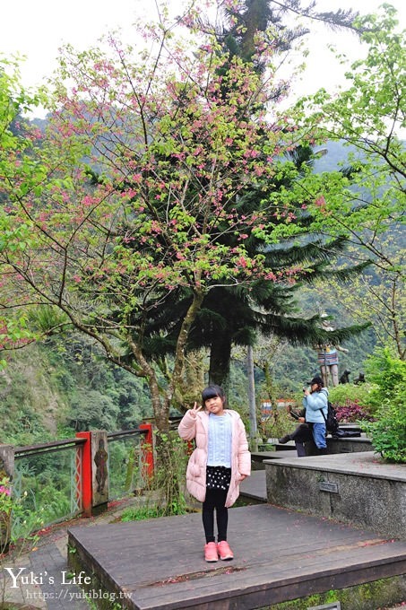 新北景點【烏來台車】烏來老街×烏來瀑布輕鬆親子半日遊 - yuki.tw