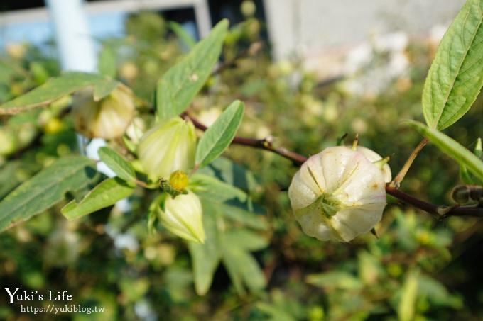 宜蘭景點【可達休閒羊場】免門票×員山小型動物園親子農場~餵羊餵兔子 - yuki.tw