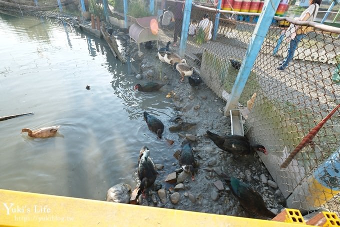 宜蘭景點【可達休閒羊場】免門票×員山小型動物園親子農場~餵羊餵兔子 - yuki.tw