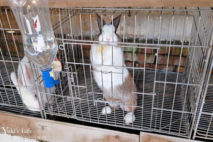 宜蘭景點【可達休閒羊場】免門票×員山小型動物園親子農場~餵羊餵兔子 - yuki.tw