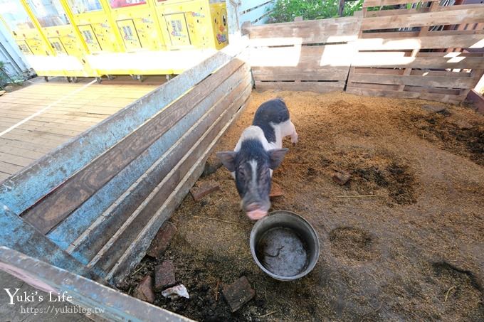 宜蘭景點【可達休閒羊場】免門票×員山小型動物園親子農場~餵羊餵兔子 - yuki.tw