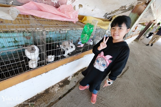 宜蘭景點【可達休閒羊場】免門票×員山小型動物園親子農場~餵羊餵兔子 - yuki.tw