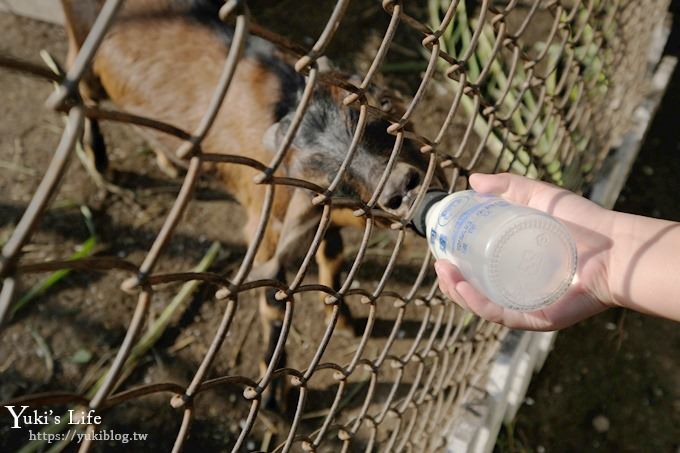 宜蘭景點【可達休閒羊場】免門票×員山小型動物園親子農場~餵羊餵兔子 - yuki.tw