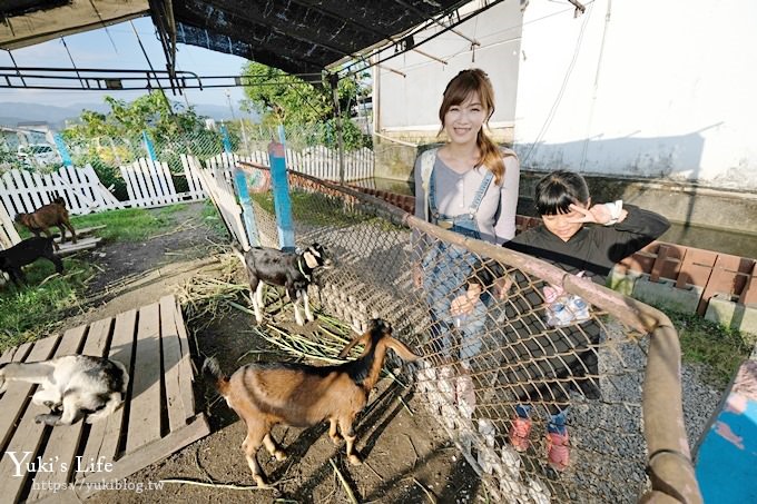 宜蘭景點【可達休閒羊場】免門票×員山小型動物園親子農場~餵羊餵兔子 - yuki.tw