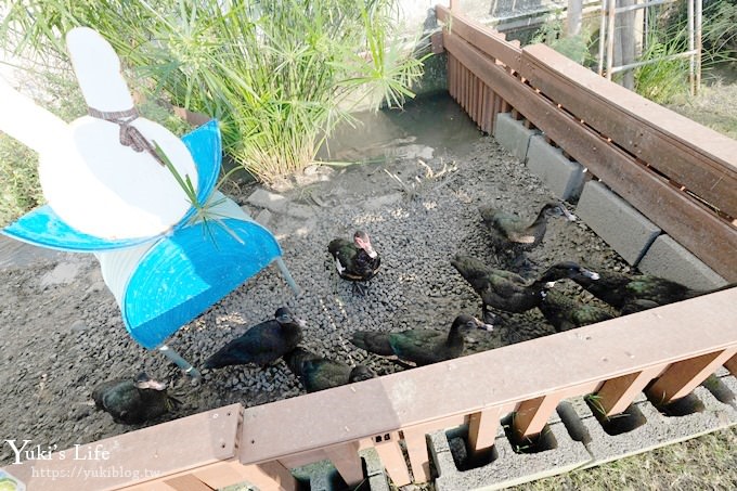 宜蘭景點【可達休閒羊場】免門票×員山小型動物園親子農場~餵羊餵兔子 - yuki.tw