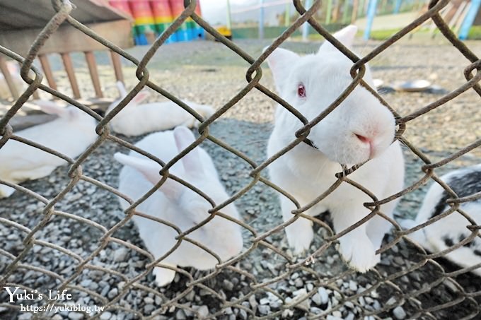 宜蘭景點【可達休閒羊場】免門票×員山小型動物園親子農場~餵羊餵兔子 - yuki.tw