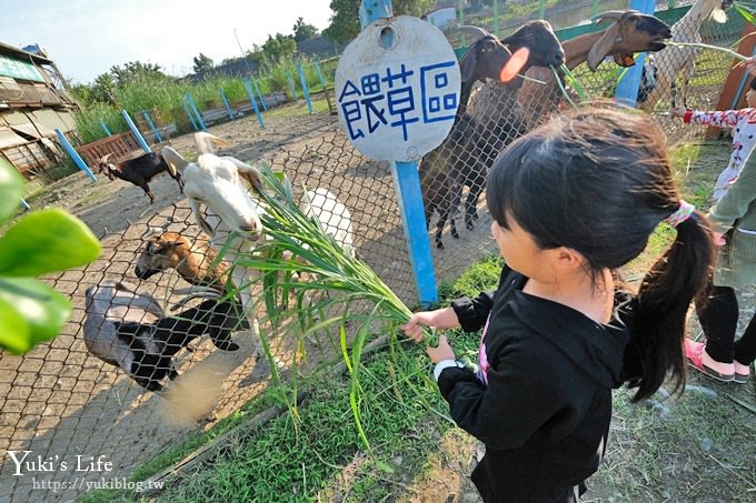 宜蘭景點【可達休閒羊場】免門票×員山小型動物園親子農場~餵羊餵兔子 - yuki.tw