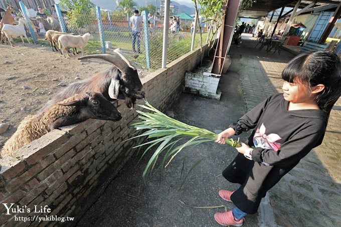 宜蘭景點【可達休閒羊場】免門票×員山小型動物園親子農場~餵羊餵兔子 - yuki.tw