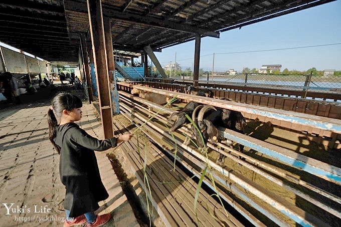 宜蘭景點【可達休閒羊場】免門票×員山小型動物園親子農場~餵羊餵兔子 - yuki.tw