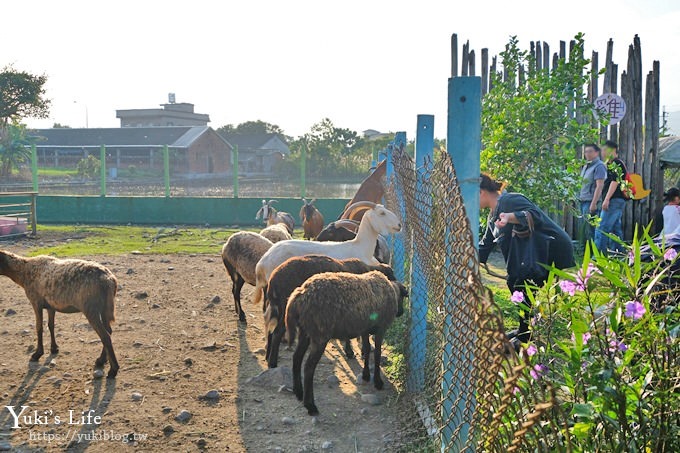 宜蘭景點【可達休閒羊場】免門票×員山小型動物園親子農場~餵羊餵兔子 - yuki.tw