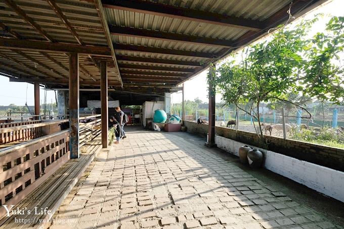 宜蘭景點【可達休閒羊場】免門票×員山小型動物園親子農場~餵羊餵兔子 - yuki.tw