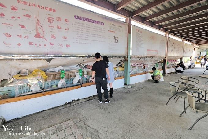 宜蘭景點【可達休閒羊場】免門票×員山小型動物園親子農場~餵羊餵兔子 - yuki.tw