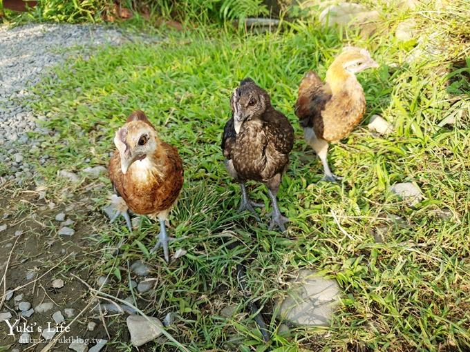 宜蘭景點【可達休閒羊場】免門票×員山小型動物園親子農場~餵羊餵兔子 - yuki.tw