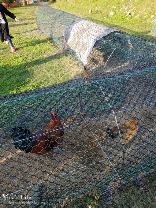 宜蘭景點【可達休閒羊場】免門票×員山小型動物園親子農場~餵羊餵兔子 - yuki.tw