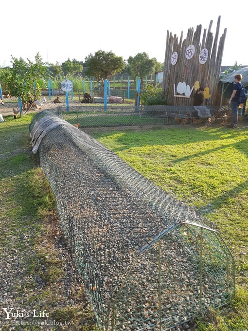 宜蘭景點【可達休閒羊場】免門票×員山小型動物園親子農場~餵羊餵兔子 - yuki.tw