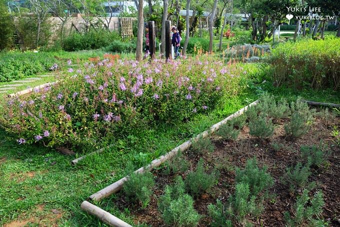 苗栗景點【雅聞香草植物工廠】免費觀光工廠玫瑰花園超夢幻×沙坑草皮孩子最愛 - yuki.tw