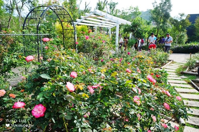 苗栗景點【雅聞香草植物工廠】免費觀光工廠玫瑰花園超夢幻×沙坑草皮孩子最愛 - yuki.tw