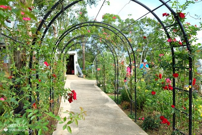 苗栗景點【雅聞香草植物工廠】免費觀光工廠玫瑰花園超夢幻×沙坑草皮孩子最愛 - yuki.tw