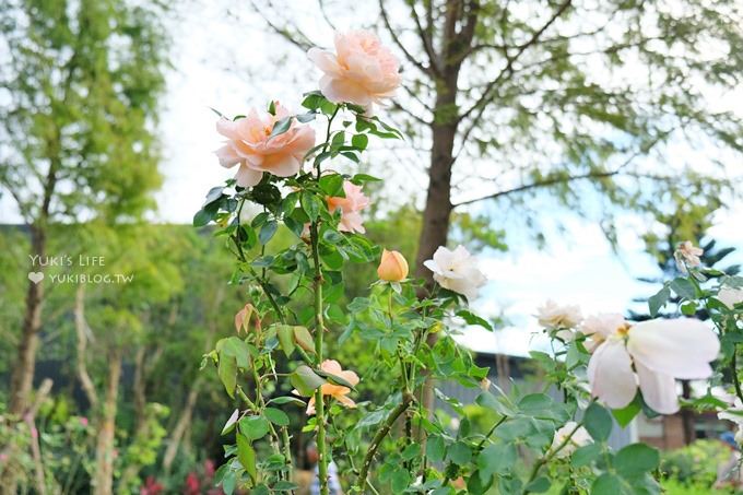 苗栗景點【雅聞香草植物工廠】免費觀光工廠玫瑰花園超夢幻×沙坑草皮孩子最愛 - yuki.tw