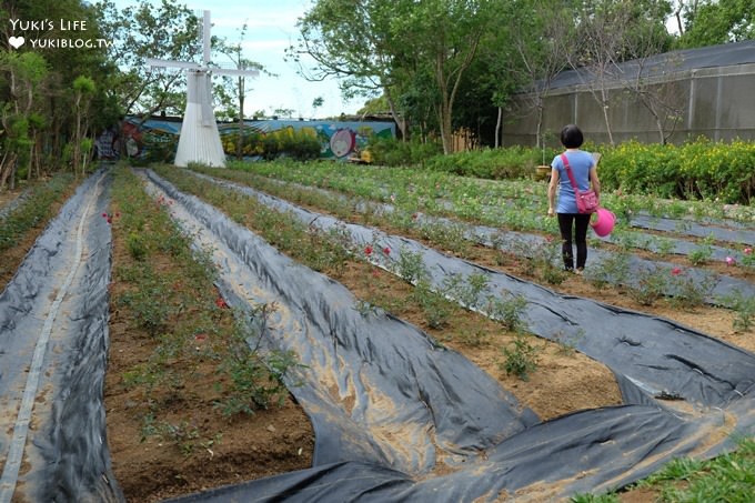 苗栗景點【雅聞香草植物工廠】免費觀光工廠玫瑰花園超夢幻×沙坑草皮孩子最愛 - yuki.tw