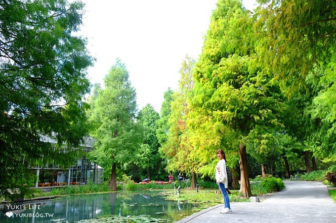 彰化親子景點【菁芳園】海豚花咖啡廳×落羽松祕境×小雞與鴨鴨農莊(門票抵消費） - yuki.tw