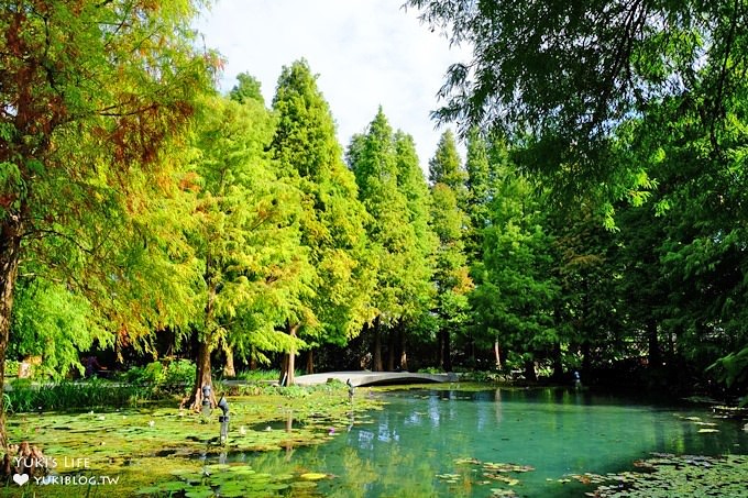 彰化親子景點【菁芳園】海豚花咖啡廳×落羽松祕境×小雞與鴨鴨農莊(門票抵消費） - yuki.tw