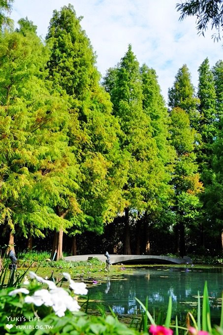 彰化親子景點【菁芳園】海豚花咖啡廳×落羽松祕境×小雞與鴨鴨農莊(門票抵消費） - yuki.tw