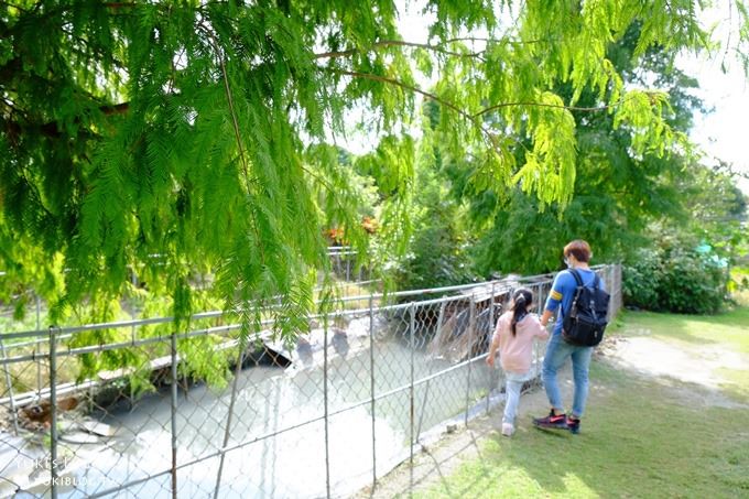 彰化親子景點【菁芳園】海豚花咖啡廳×落羽松祕境×小雞與鴨鴨農莊(門票抵消費） - yuki.tw