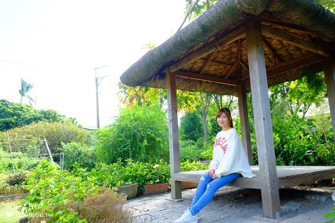 彰化親子景點【菁芳園】海豚花咖啡廳×落羽松祕境×小雞與鴨鴨農莊(門票抵消費） - yuki.tw