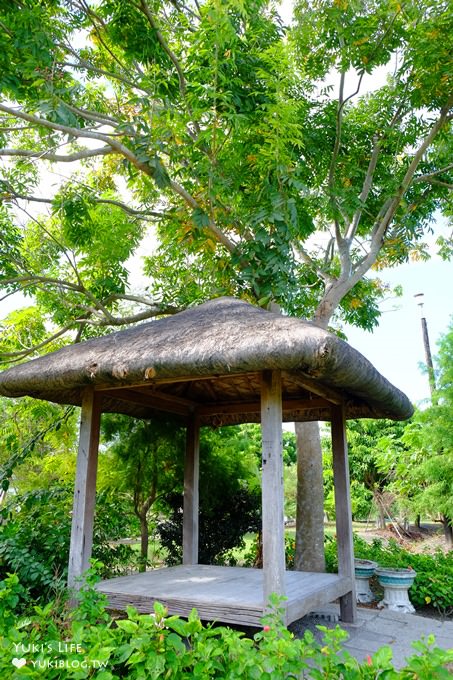 彰化親子景點【菁芳園】海豚花咖啡廳×落羽松祕境×小雞與鴨鴨農莊(門票抵消費） - yuki.tw