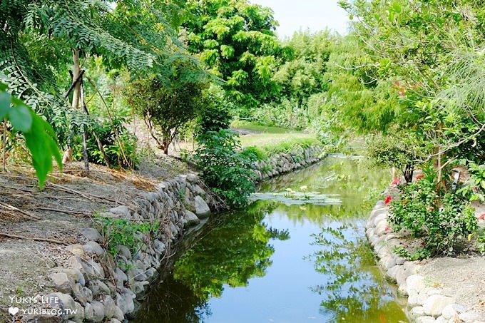 彰化親子景點【菁芳園】海豚花咖啡廳×落羽松祕境×小雞與鴨鴨農莊(門票抵消費） - yuki.tw