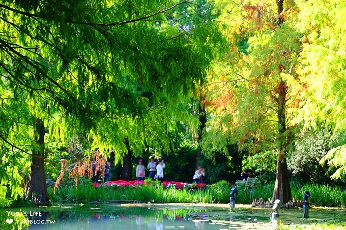 彰化親子景點【菁芳園】海豚花咖啡廳×落羽松祕境×小雞與鴨鴨農莊(門票抵消費） - yuki.tw