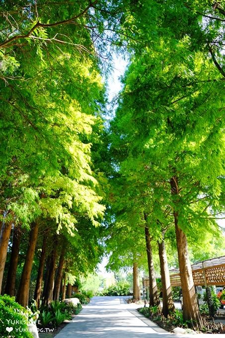 彰化親子景點【菁芳園】海豚花咖啡廳×落羽松祕境×小雞與鴨鴨農莊(門票抵消費） - yuki.tw