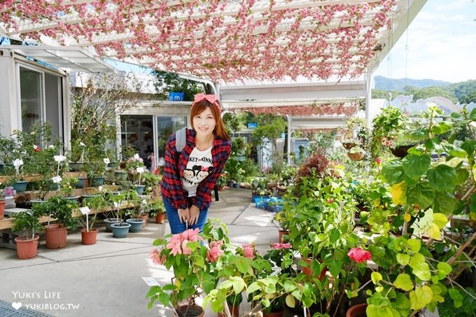 桃園大溪免費親子景點【魔幻豆子主題館】花生堅果公仔馬戲團樂園×伴手禮推薦(龍情花生糖藝文園區) - yuki.tw