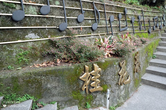 苗栗景點【南庄老街桂花巷】拍照散步賞花好去處×百年郵局×風味小吃(五月油桐花vs繡球花季必訪) - yuki.tw