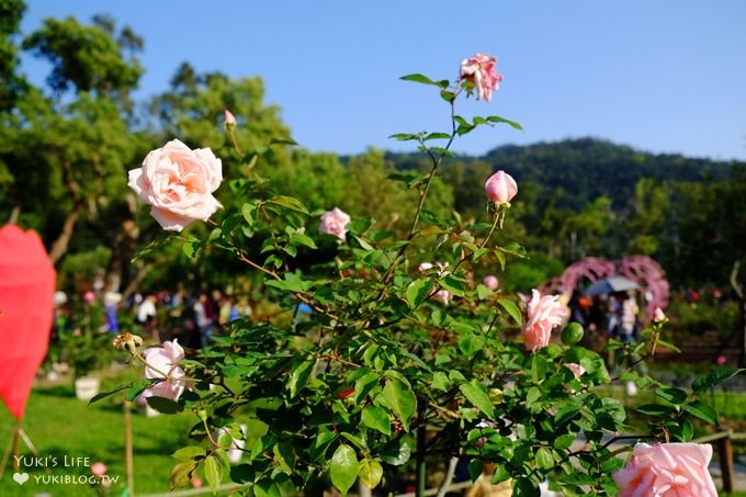 台北免費親子景點【士林官邸公園】玫瑰花園開好開滿×約會拍照下午茶好去處(捷運士林站) - yuki.tw